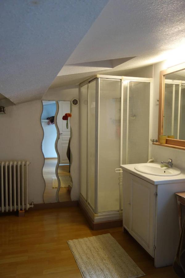 Bel Appartement Au Coeur Du Puy En Velay Le Puy-en-Velay Exterior photo